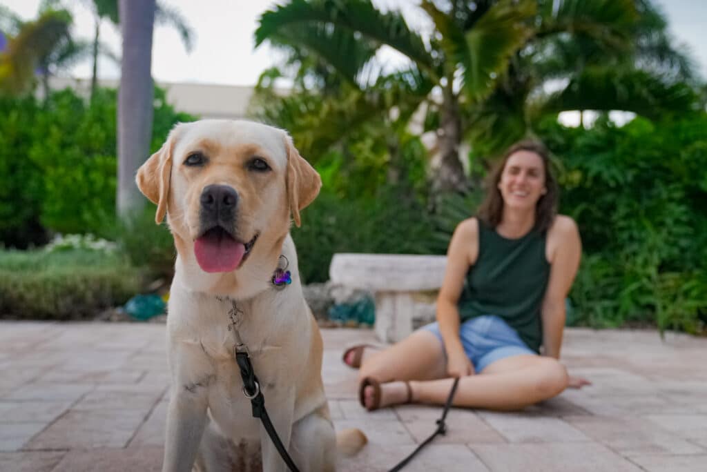 A yellow Labrador Retriever sits on a leash in the foreground while a woman sits smiling behind the dog in a sunny garden setting.