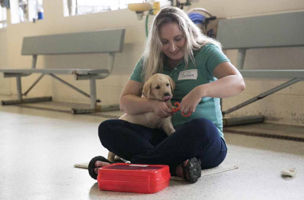 Participants help create positive memories for our puppies, starting at a young age.