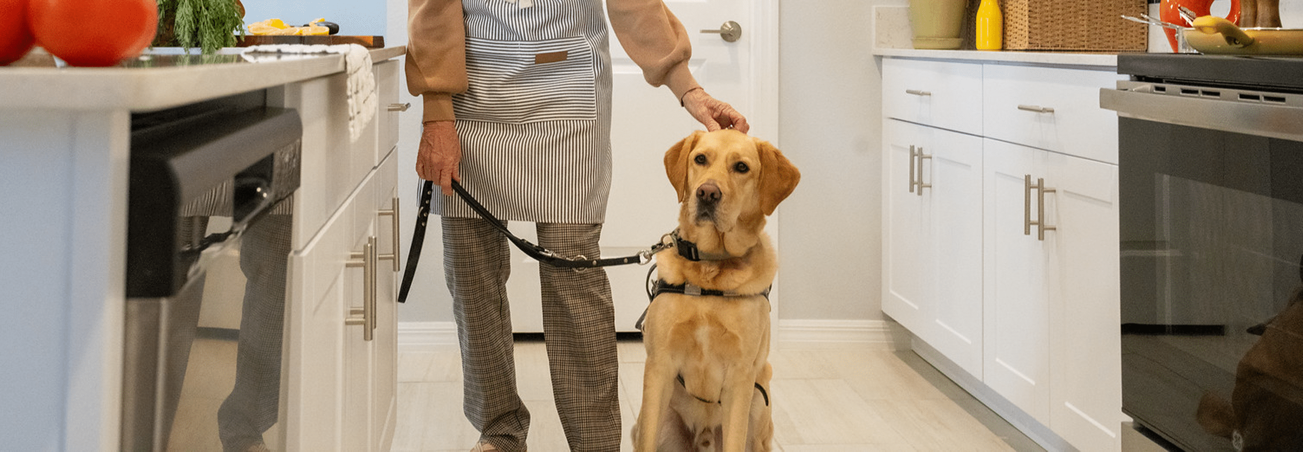 Woman stands in her kitchen with a yellow Labrador Retriever guide dog sitting attentively at her side on leash, demonstrating calm behavior around countertops.
