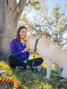 A woman in a purple Dogs Inc shirt sits under a tree and rewards a yellow Labrador Retriever with a treat during an outdoor training session on a sunny day.