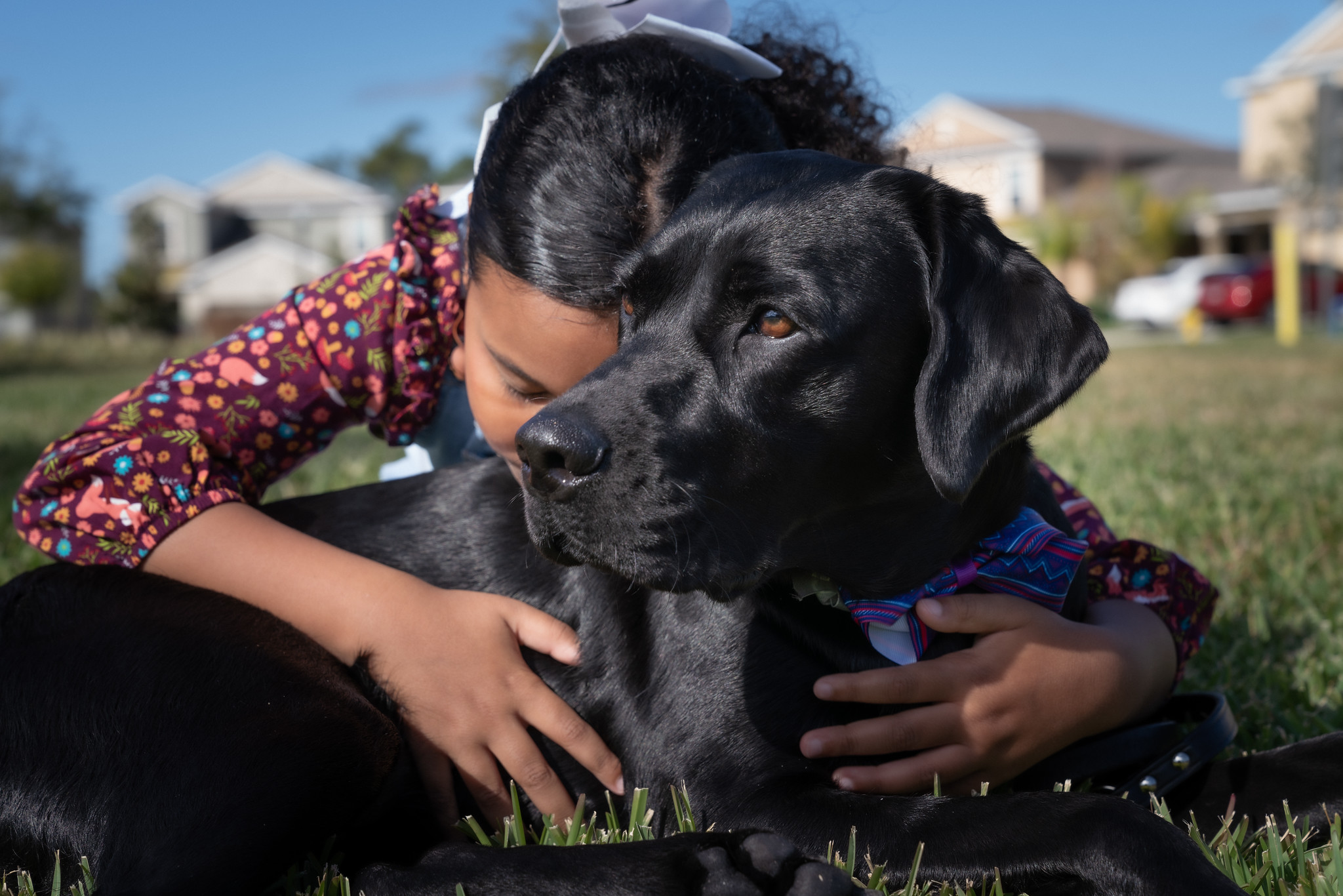 Young girl lays and hugs black lab looking off into the distance
