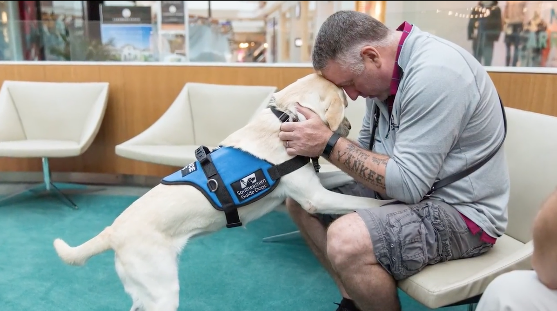 Mans sits in chair with yellow service dogs paws on his legs and head to head