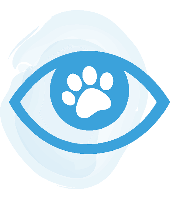Icon of a blue eye with paw in the middle
