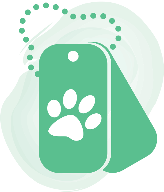 Two green dog tags overlap with a paw in the middle of the front dog tag