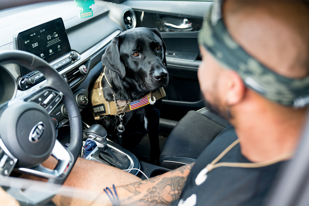 Veteran sits in driver seat and service dog is on passenger floorboard looking up to veteran