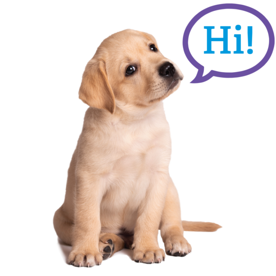 A small yellow lab sits and tilts its head off to the left. A purple speech bubble comes from its mouth with the text, "Hi!"