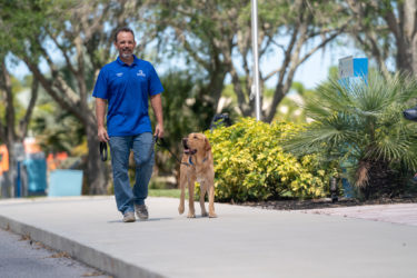 A man walks outside with his Labrador Retriever.