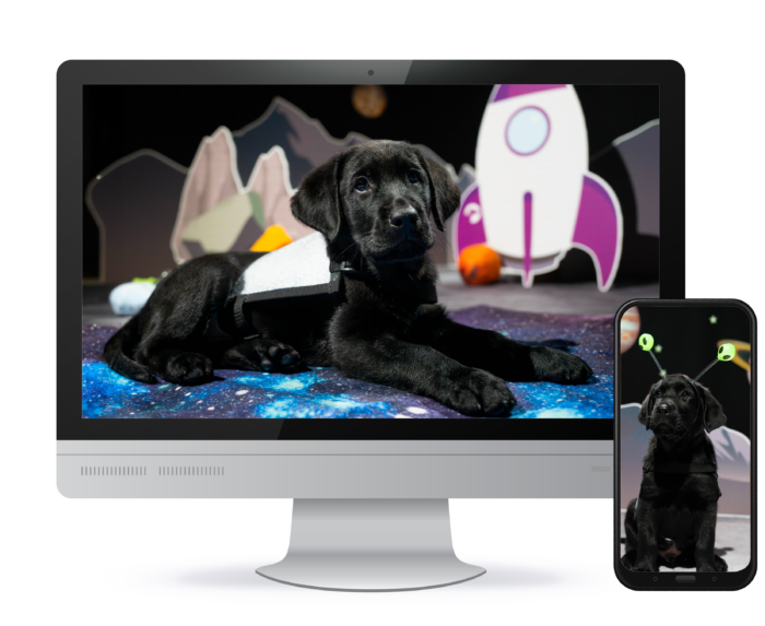 A desktop computer with a photo of a black Labrador puppy lying in an artificial moon environment as the screensaver and a smartphone with a photo of a black Labrador puppy sitting down with an alien headband on his head as the screensaver