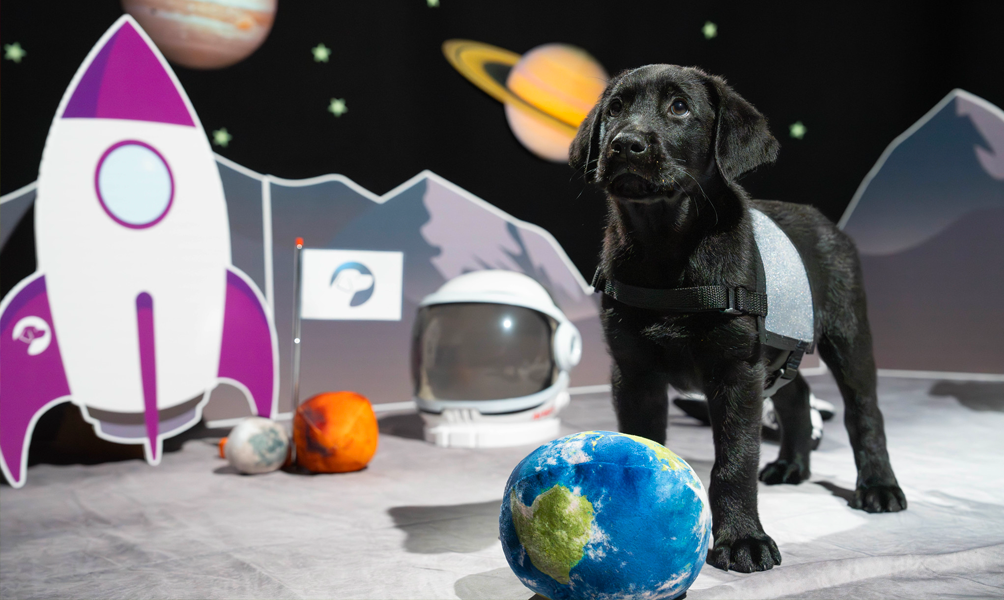 A black Labrador puppy standing in an artificial moon environment with a stuffed Earth toy in front of him