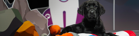 A black Labrador puppy lying on a stuffed toy in an artificial moon environment
