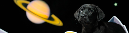 A black Labrador puppy standing behind artificial moon rocks with Saturn in the galaxy behind him