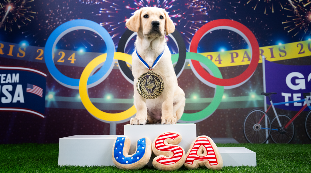 A yellow Labrador puppy sits on a white pedestal with a gold metal on his chest.