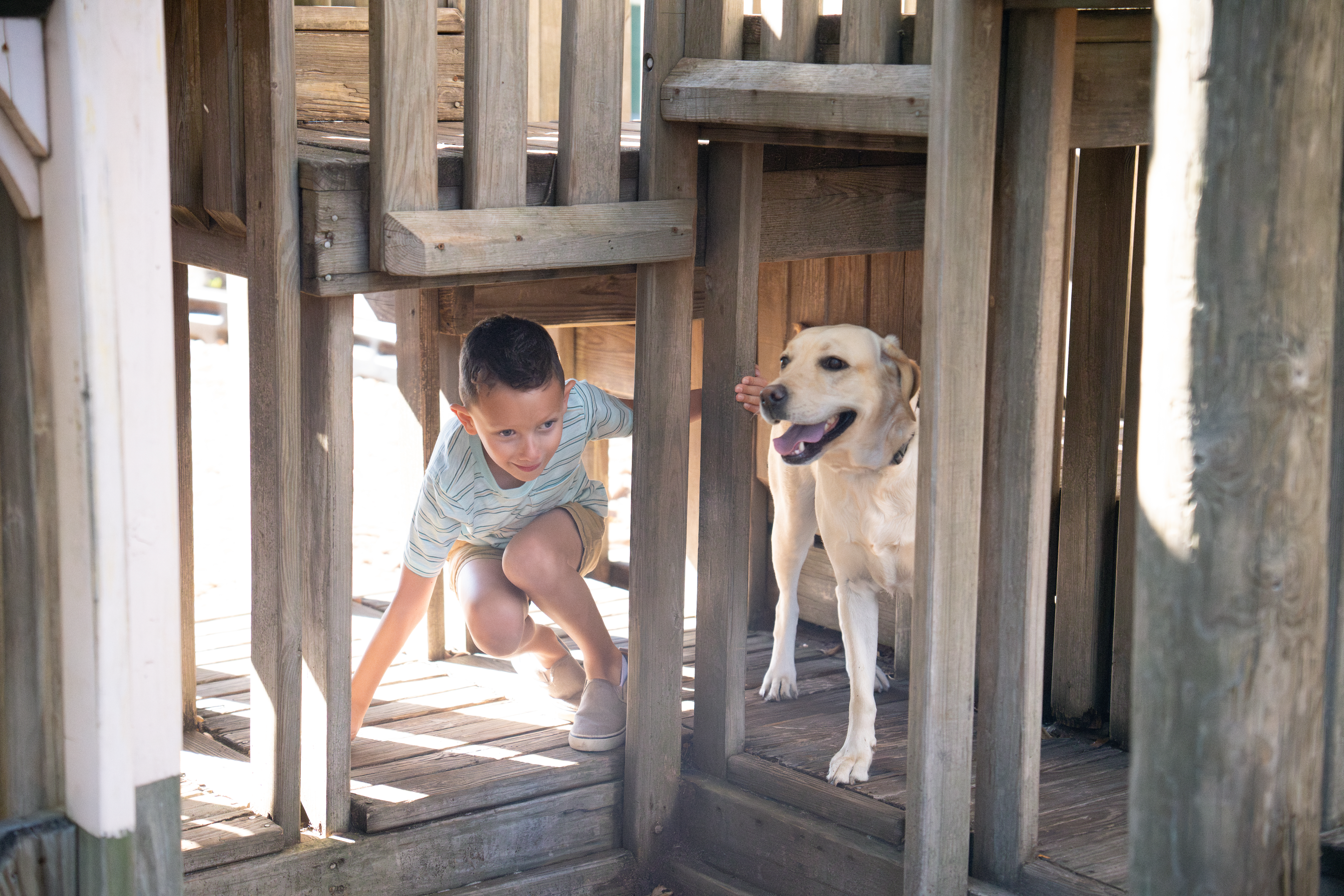A young boy plays with his Skilled Companion Dog under a beach pier.
