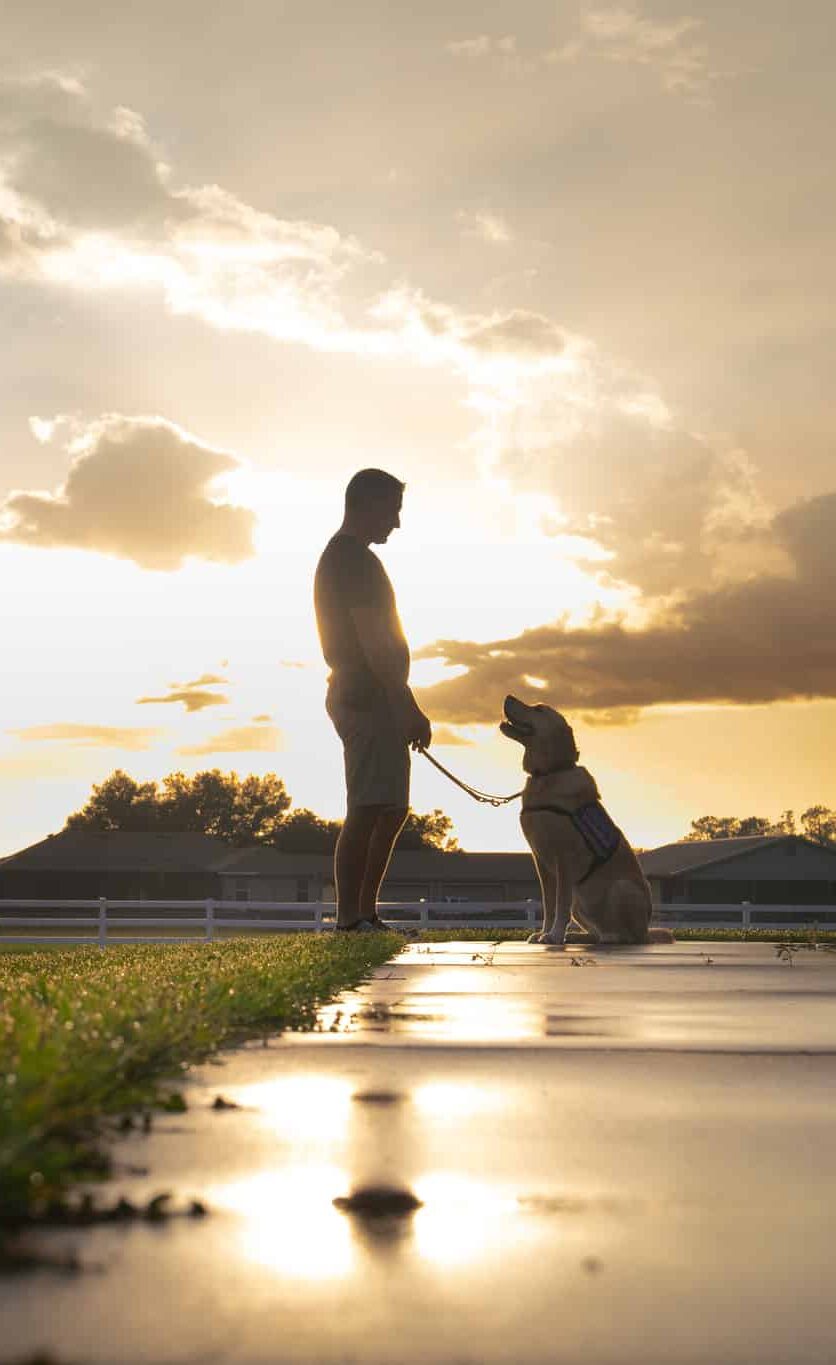 A silhouette of a man and a yellow Labrador service dog who stand outdoors in front of a golden sunset.