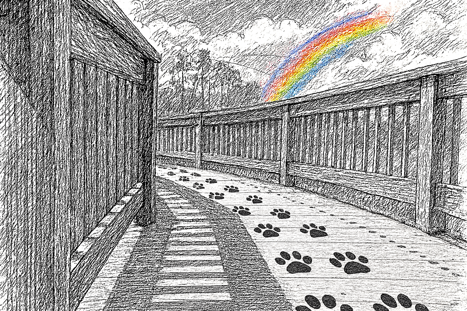 A black and white hand-drawn illustration of a bridge with black paw prints that walk across it. A rainbow is in the sky above.
