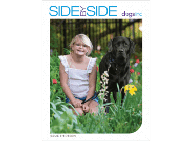 A young blonde girl sits in a flower field with a black Labrador skilled companion dog by her side.