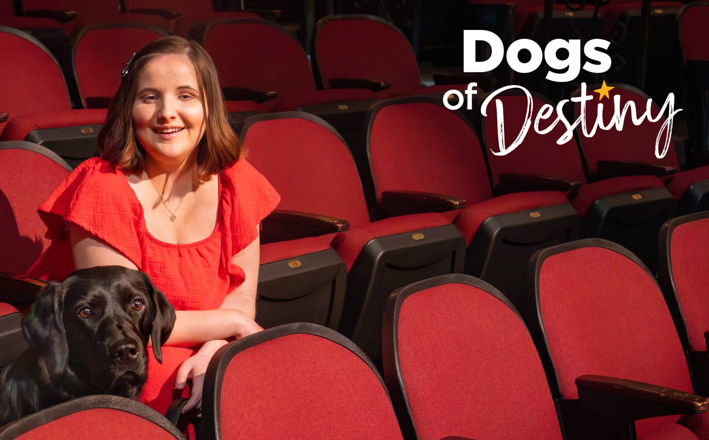 A woman wears a red dress and sits next to a black Labrador guide dog in a theater with red folding chairs. White text reads "Dogs of Destiny"