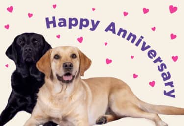 A yellow Labrador dog and a black Labrador dog lay together. There are pink hearts around the dogs. Purple text reads, "Happy Anniversary."