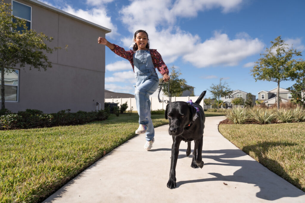 A girl joyfully walks a Black Labrador on a path in a sunny suburban neighborhood.