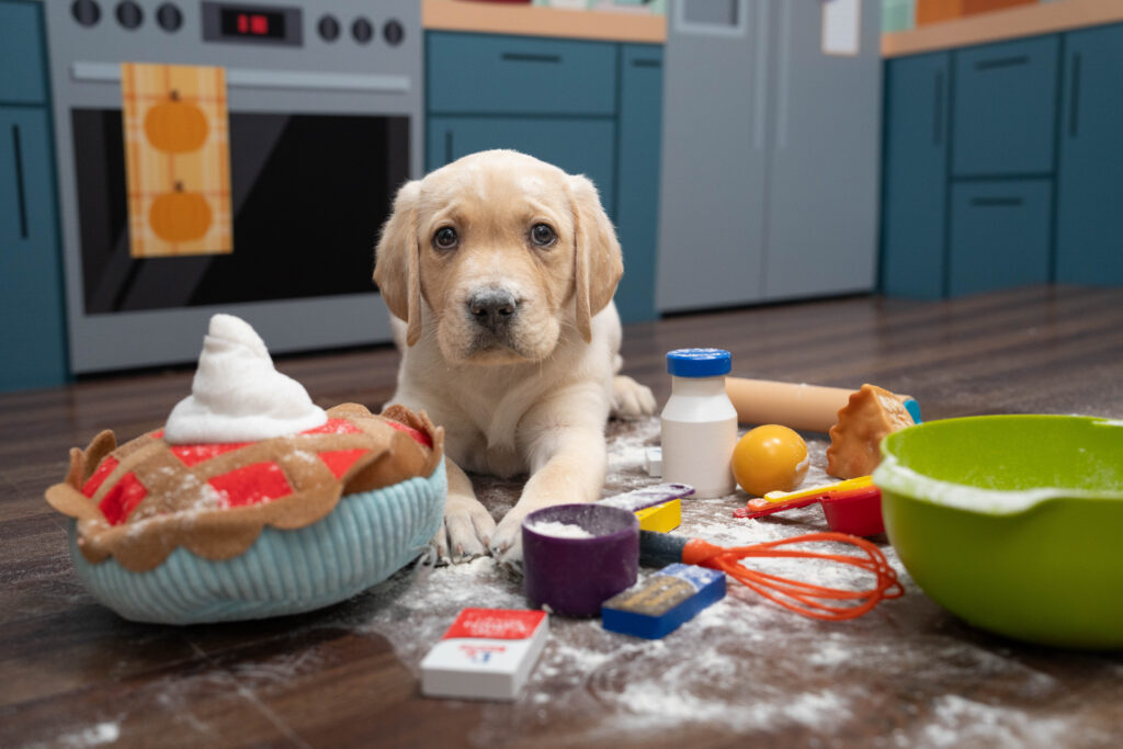 Yellow Labrador Retriever puppy sits on a kitchen floor set surrounded by spilled flour and baking-themed dog toys, including a pie, bowl, whisk, and measuring cups.