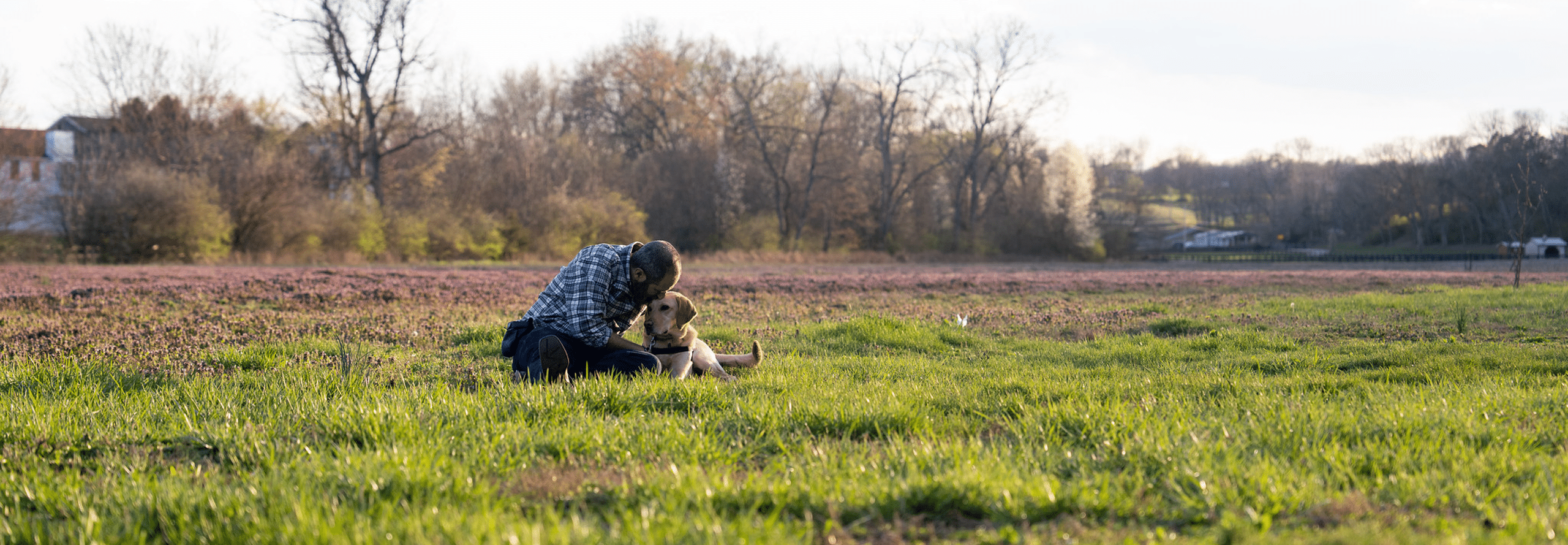 A man embraces a labrador retriever lying on the grass in a sunny rural setting.