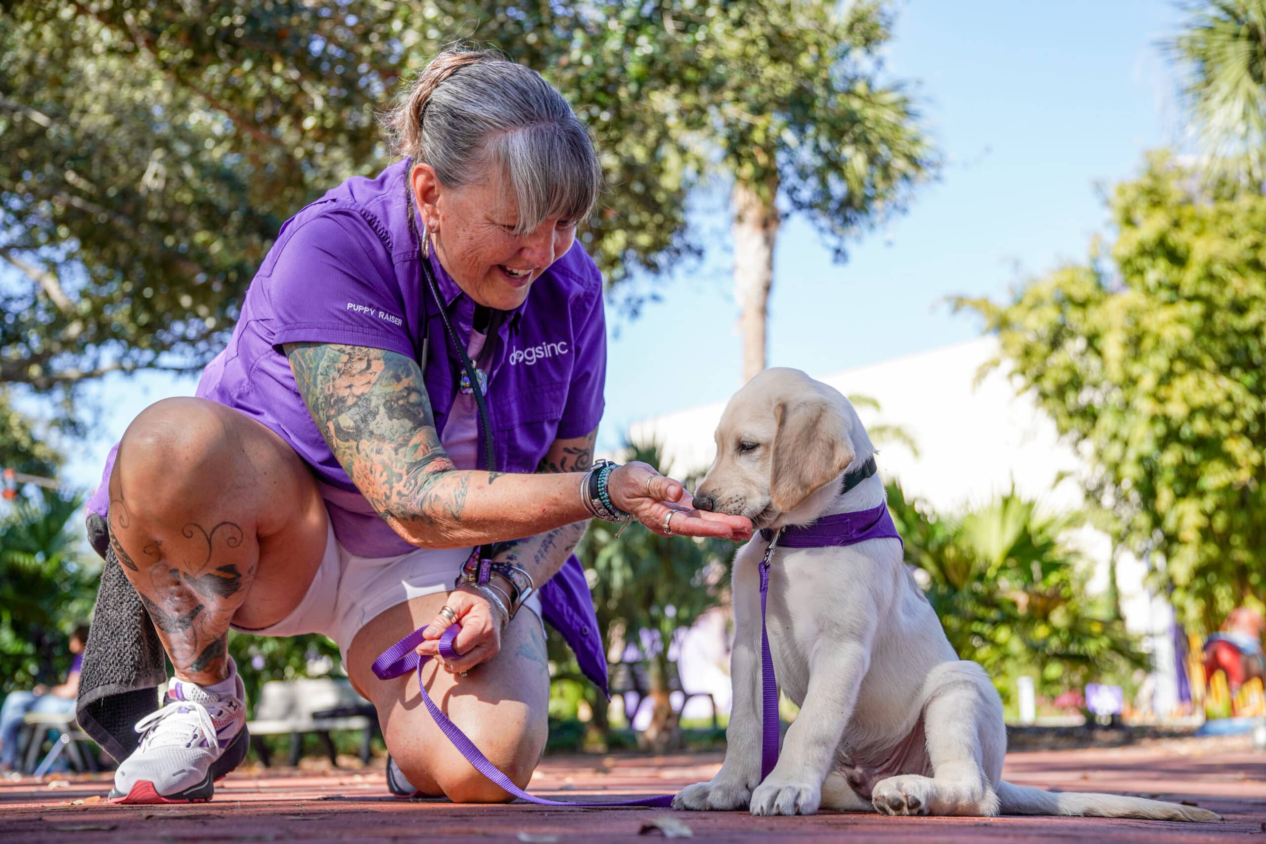 The Hidden Challenges of Raising a Future Service Dog