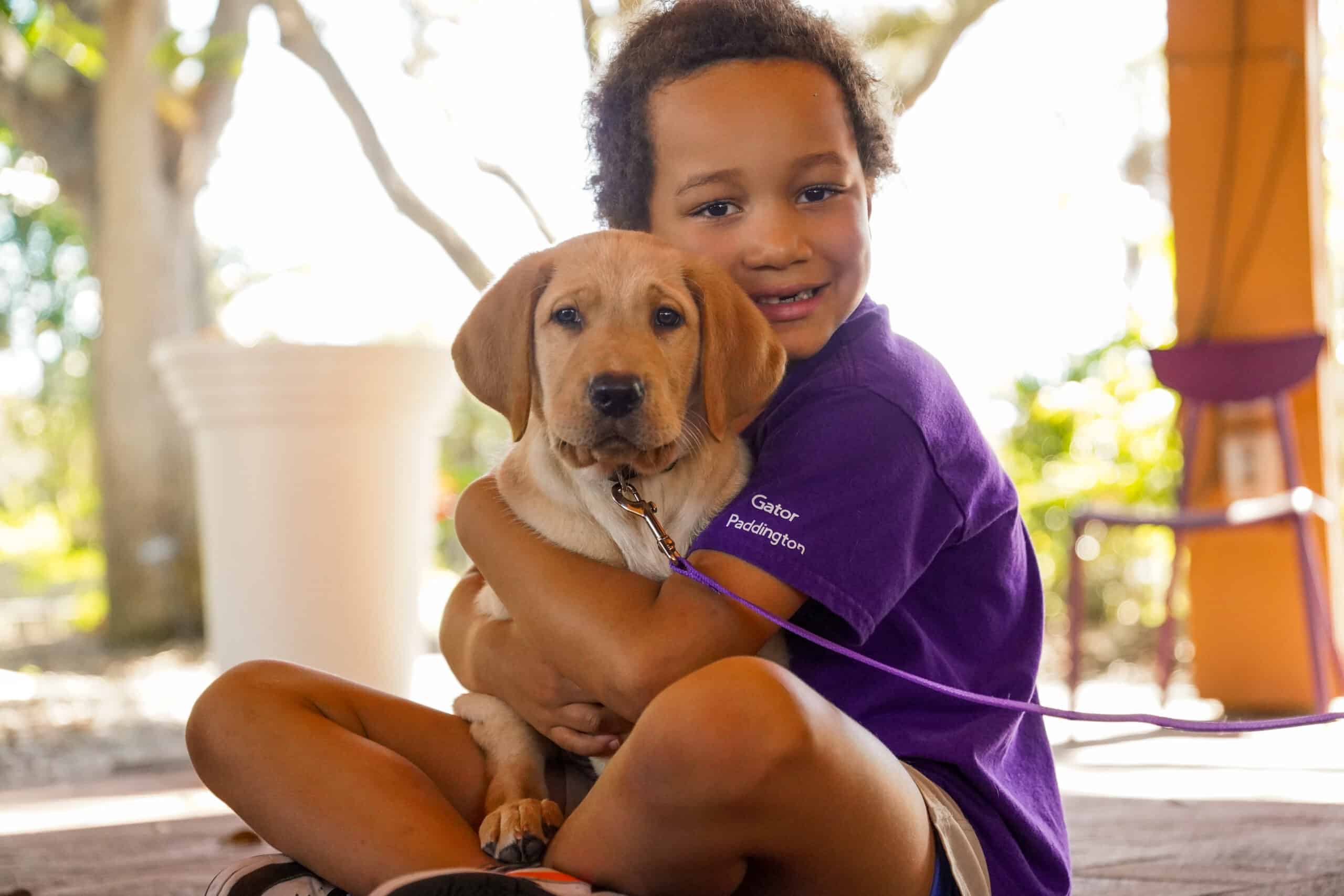 The First 90 Days: What Puppies Learn Before You Even Meet Them
