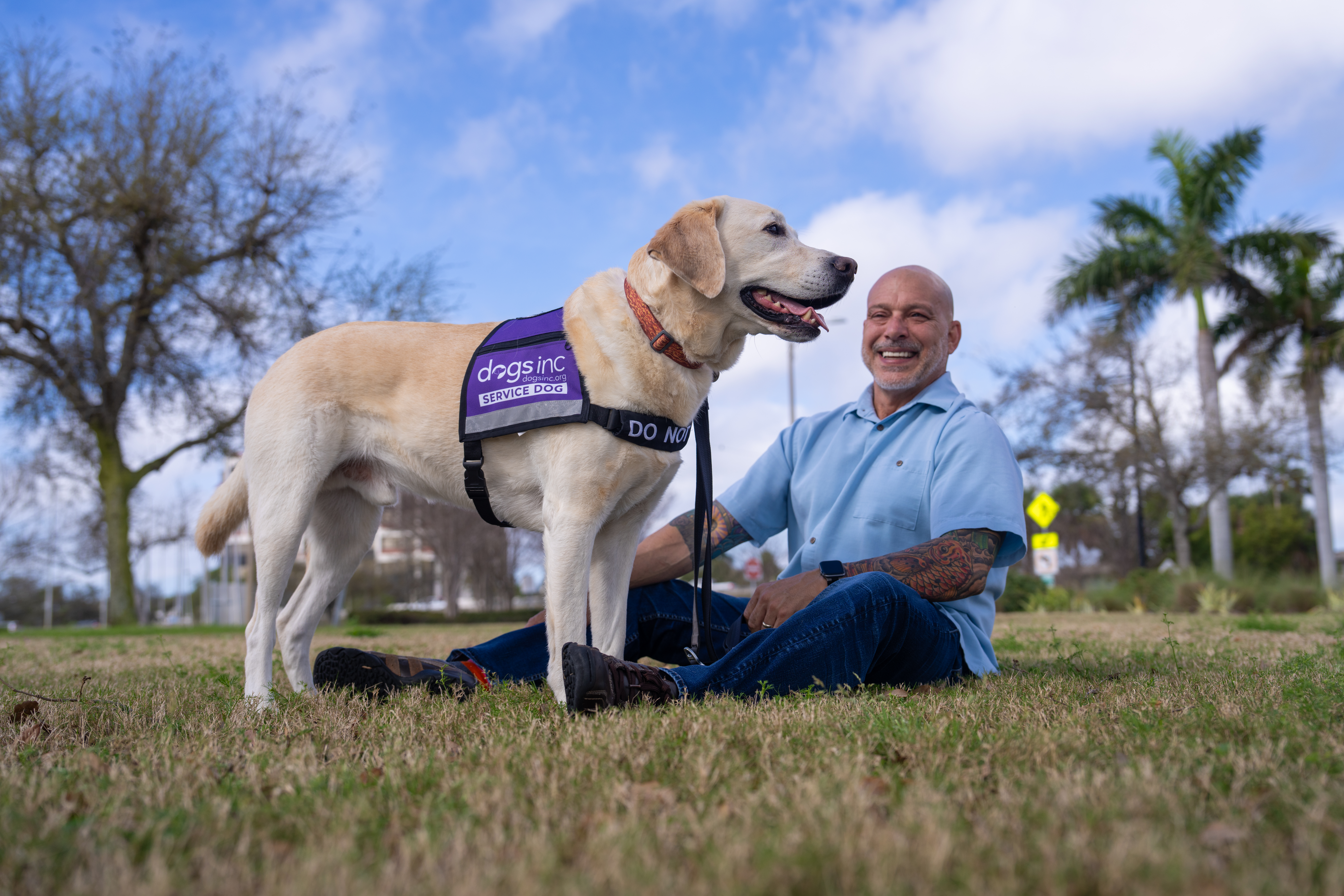 A man sitting on the grass admires a Labrador Retriever wearing a Dogs Inc Service Dog vest at a park setting.