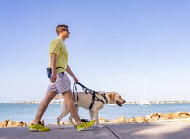 A man walking with a yellow Labrador guide dog along a waterfront path on a sunny day.