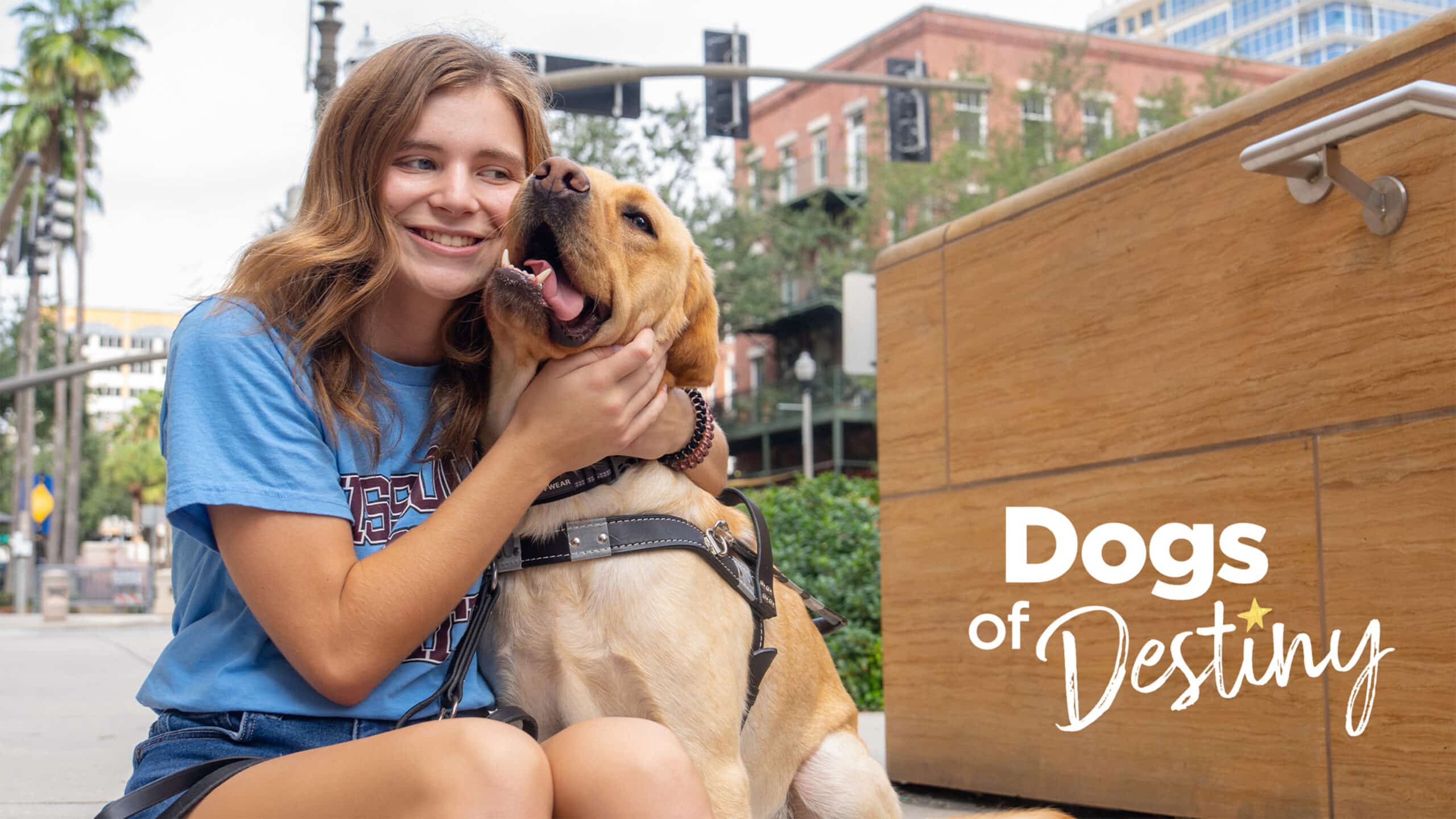 Dogs of Destiny thumbnail image featuring a joyous woman hugging a Yellow Lab guide dog on the sidewalk of a city block.