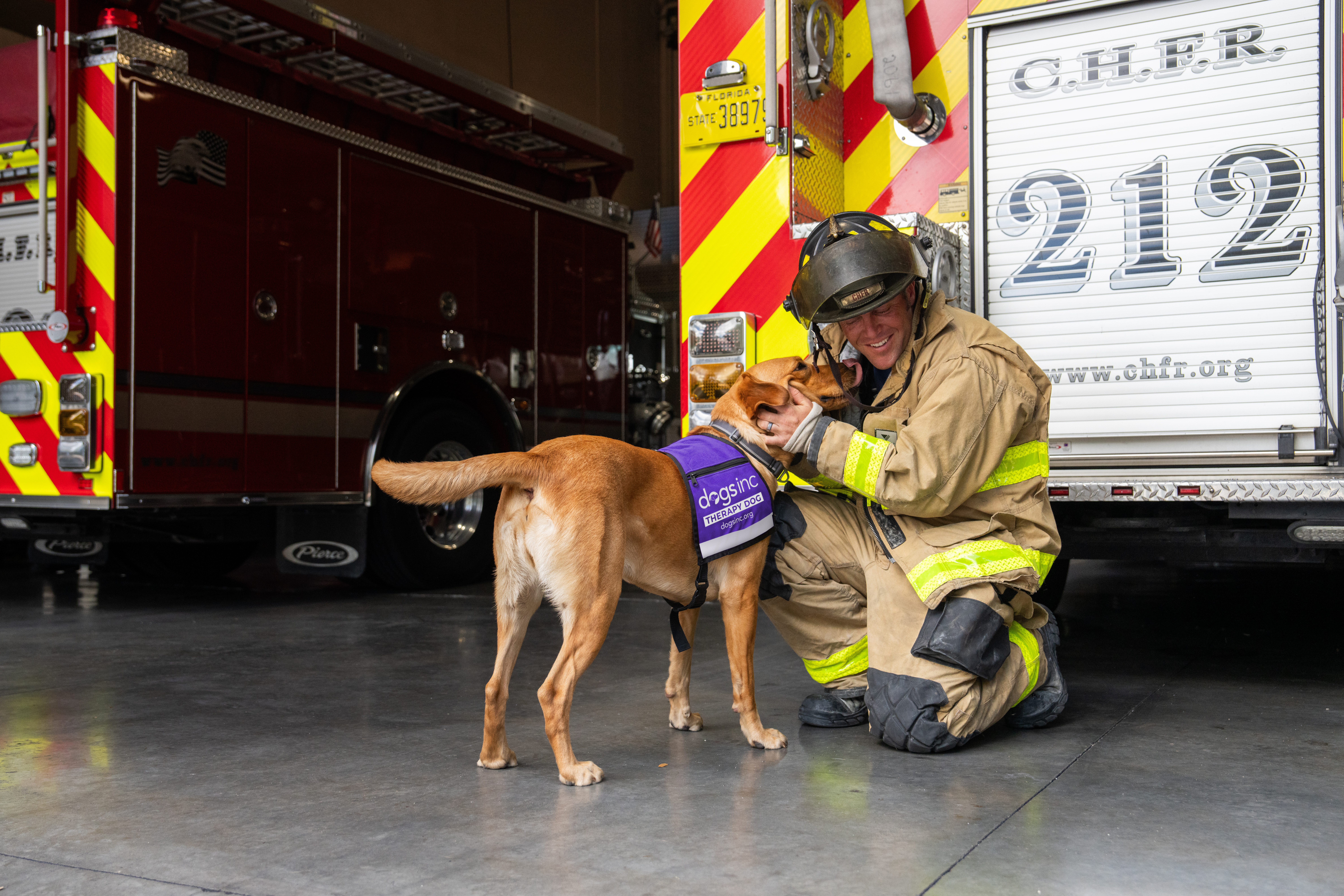 A Yellow Labrador retriever wearing a therapy dog vest embraces a firefighter in uniform at a fire station garage.